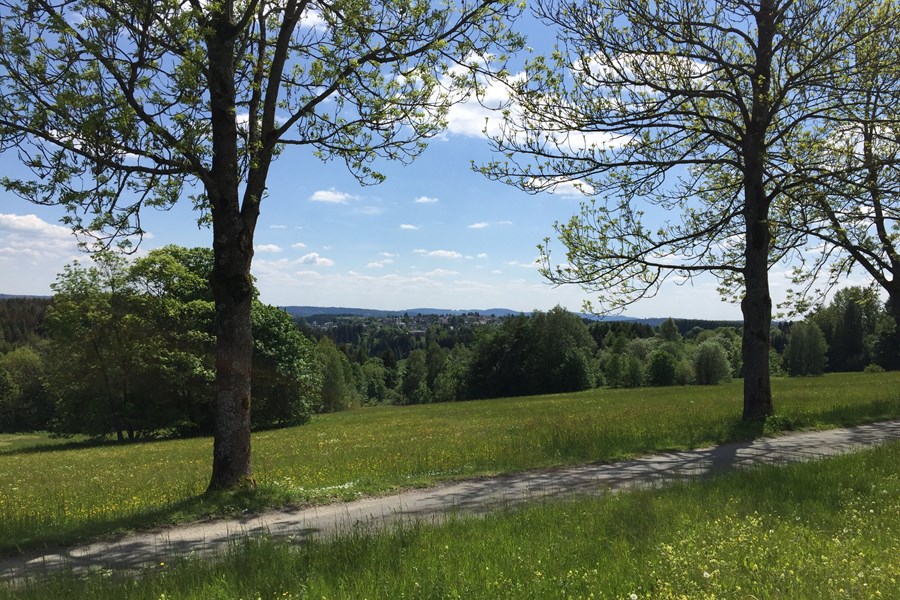 Ausblick 