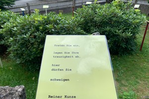 image00013.jpeg