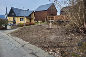 Bild 2: Planiertes Gelände mit gepflanzten Bäumen und Rosen