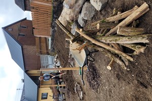 Bild 7: Totholzstrukturen