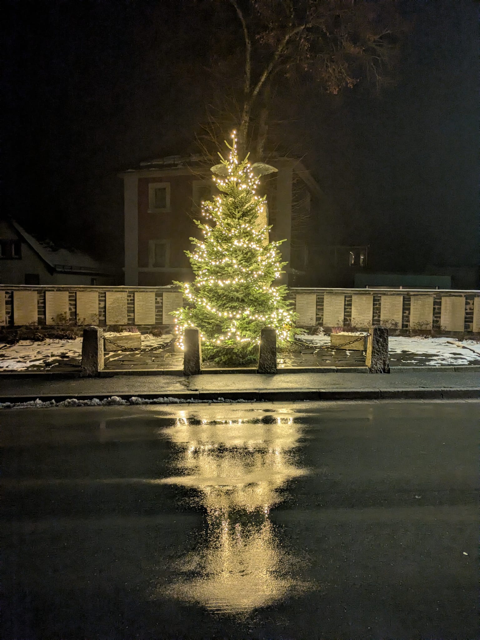 Christbaum Kriegerdenkmal 2025