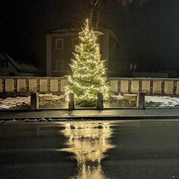 Christbaum Kriegerdenkmal 2025